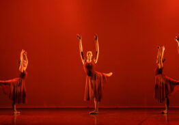 ENSEMBLE DE BALLET